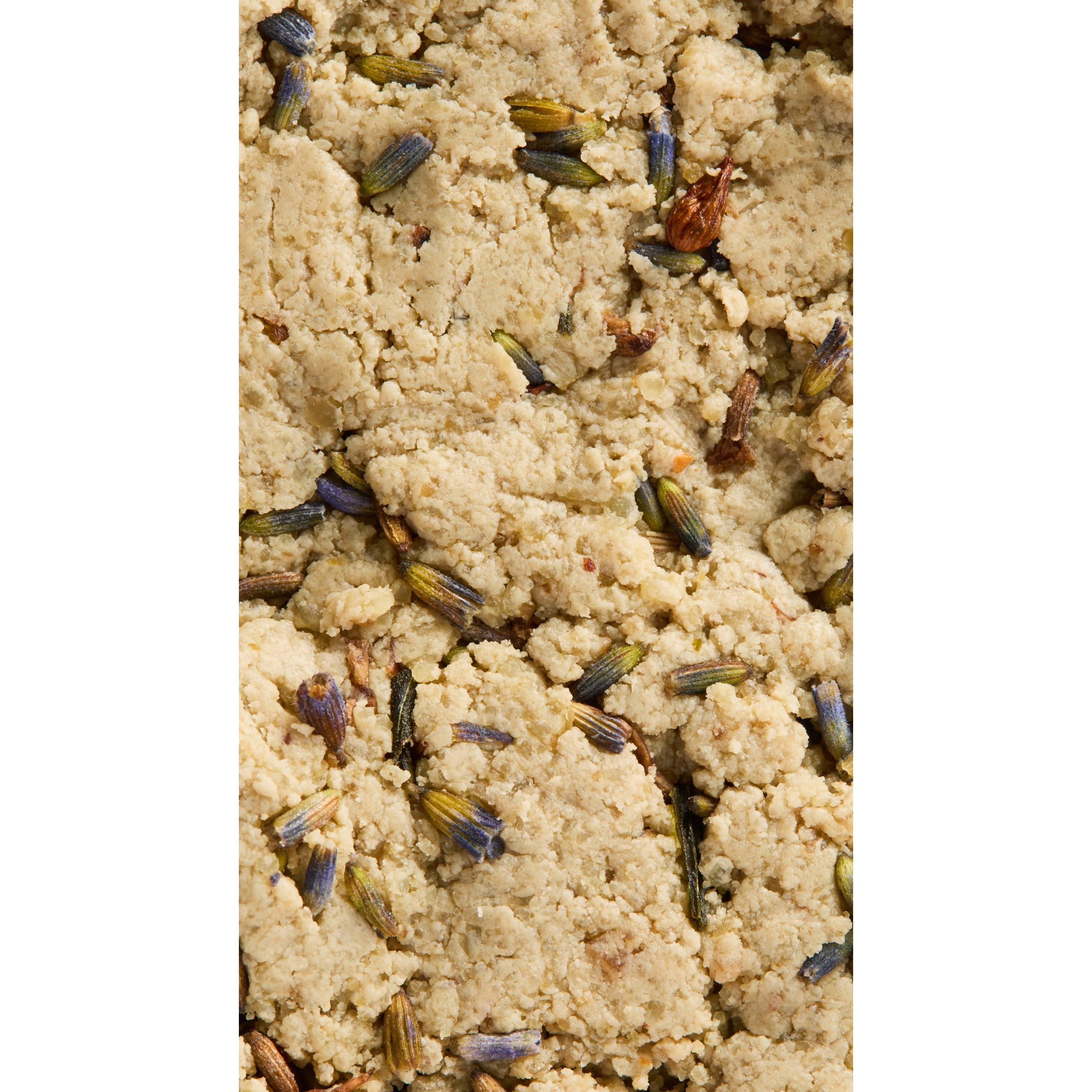 Angels on Bare Skin - Image 4