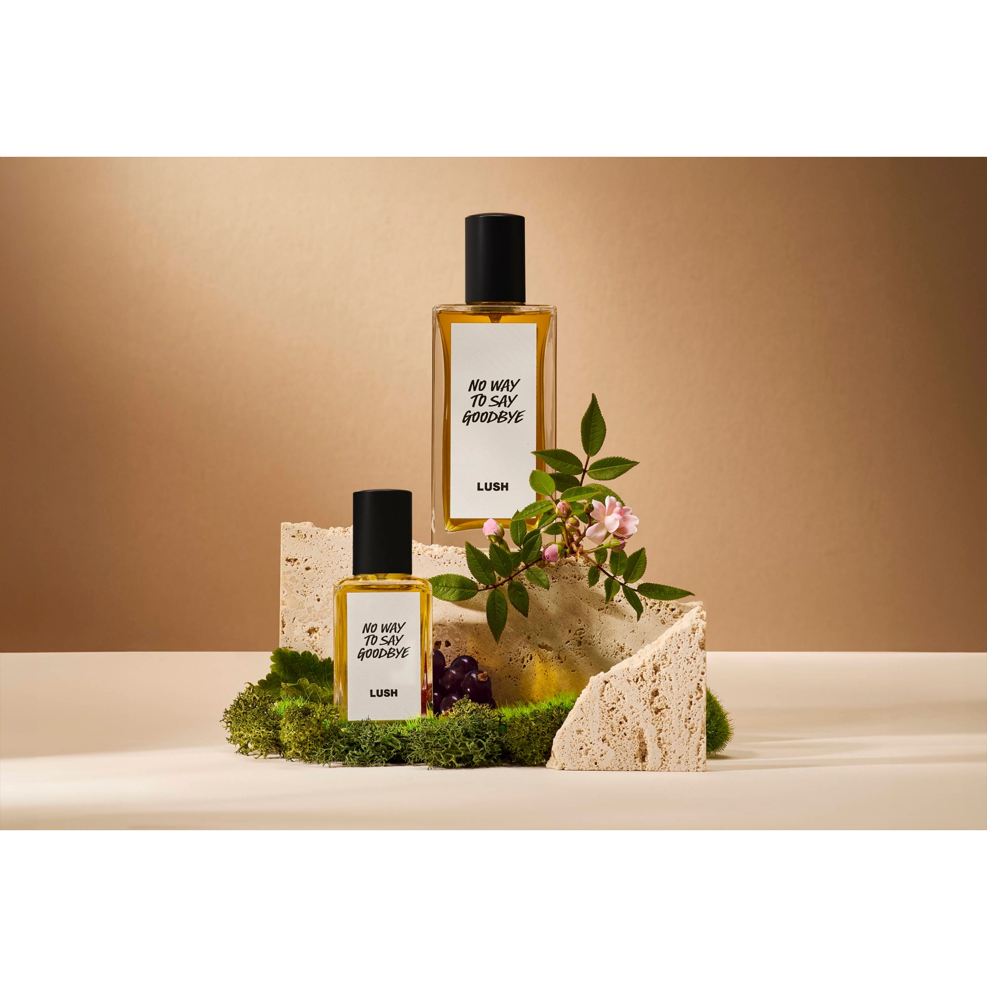 No Way to Say Goodbye - Image 2